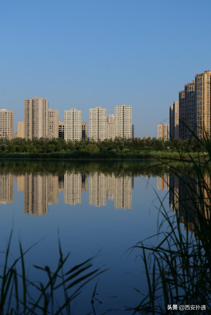 西安最大花海公园,西安周边的自然景观公园