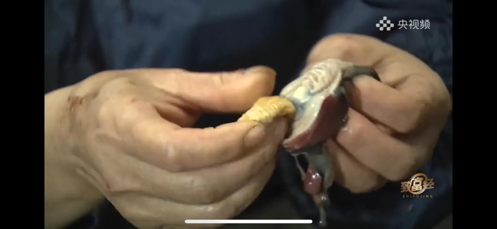 10万多只鸡养鸡场一年能挣多少,回村搞农业养殖一只鸡卖一万