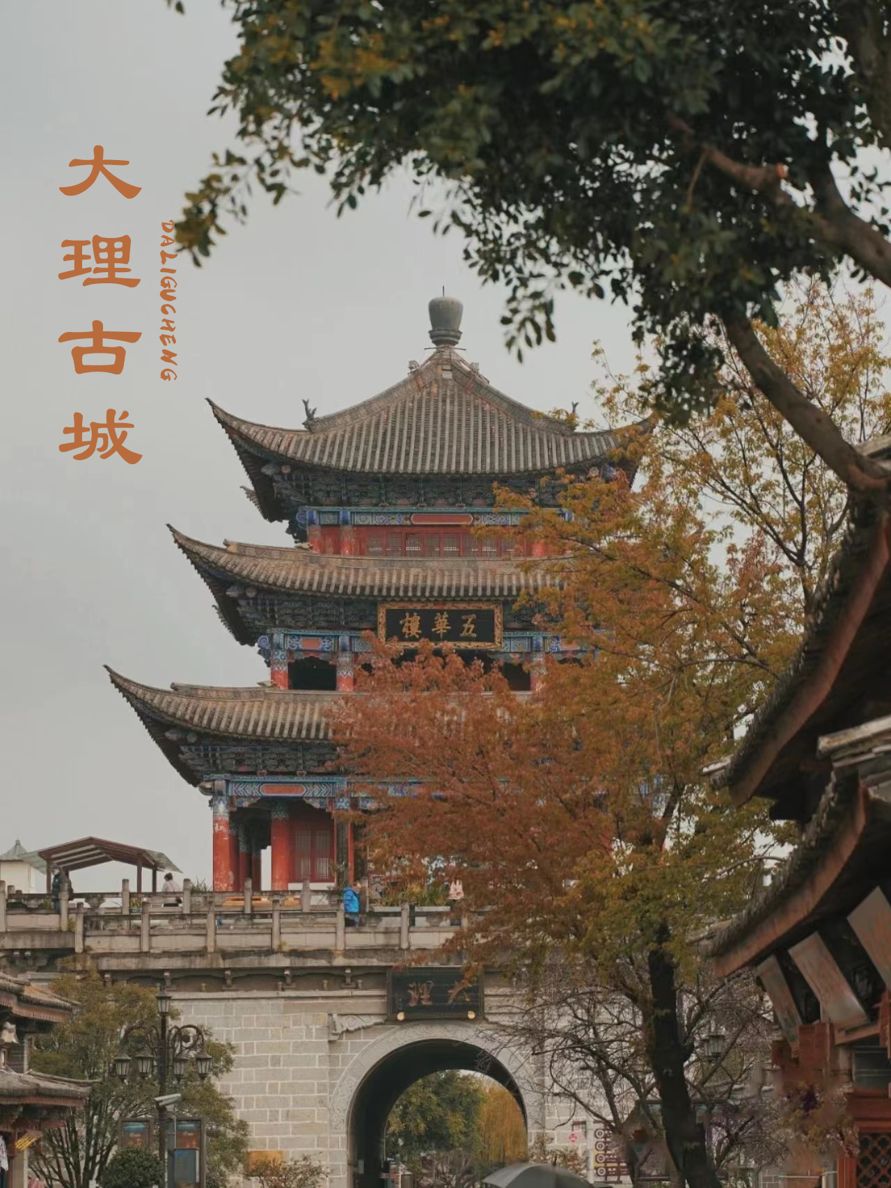 熬夜整理云南旅游攻略,第一次去云南旅游的感受分享