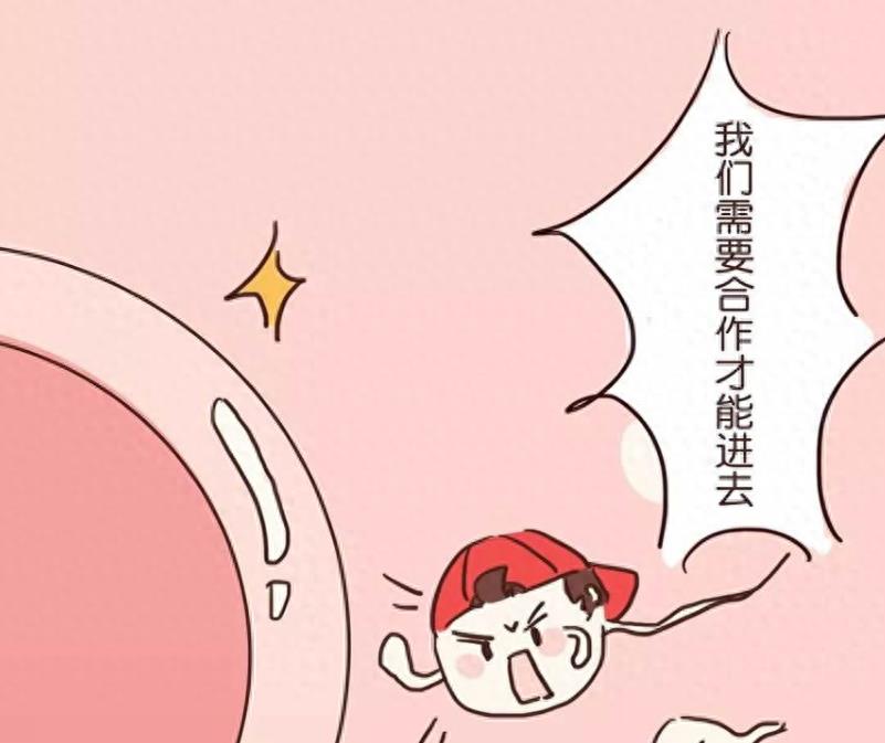 失落的小勇士们,踏上了怀孕之路