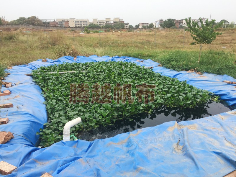 鱼池漏水怎么修补最好,鱼池浇好侧面渗水怎么办