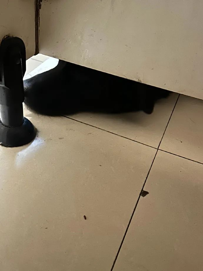 女厕的诡异事件,诡异女厕