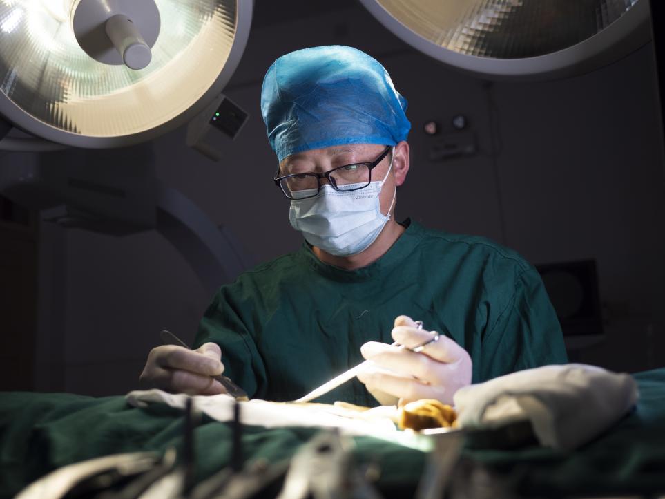 基层卫生守门人,基层卫生健康十大影响力人物