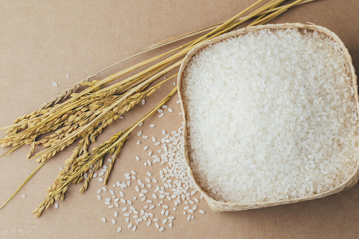 位于江苏省会的南京财经大学，实力到底怎么样