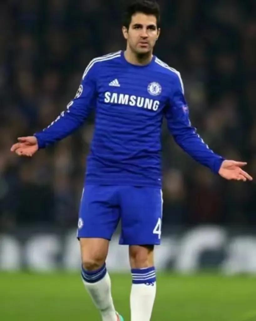 塞斯克法布雷加斯,塞斯克·法布雷加斯集锦