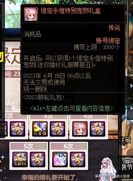 dnf五一纹章固伤百分比,dnf五一套纹章宠物换成了绑定称号