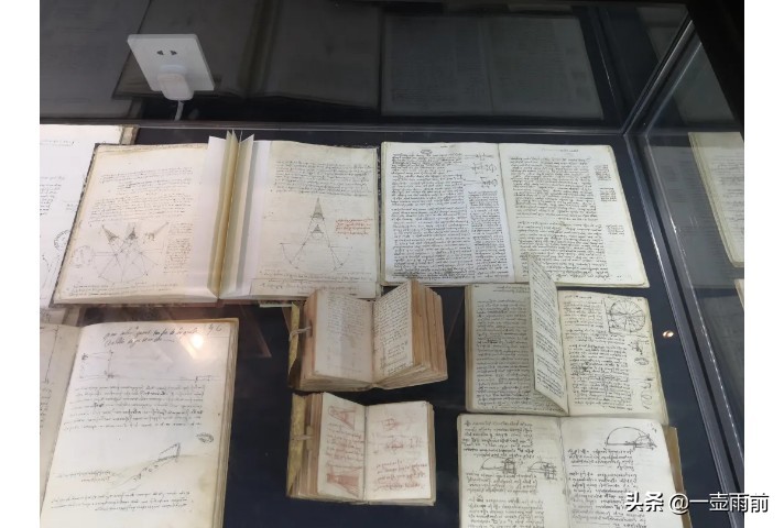 达芬奇的代表作及美学特征,达芬奇是跨时代的天才