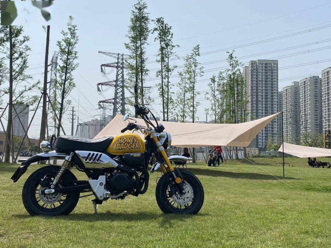 本田幼兽110中国专卖店多少钱,本田幼兽110多少钱一辆