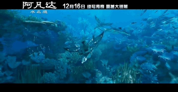 阿凡达一共有几部和上映时间,阿凡达最经典的几部