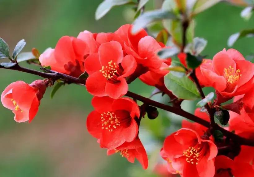 面相中的气色和命运,气色与命运