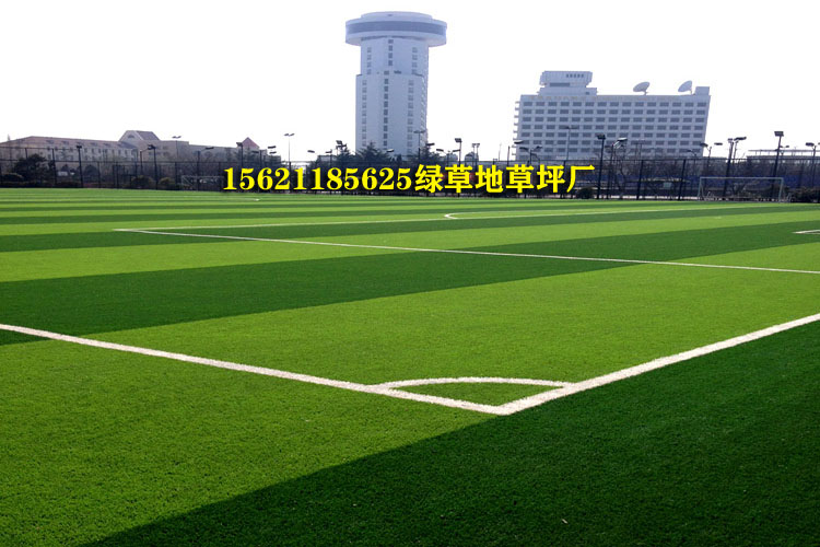 学校足球场人造草坪标准,学校足球场人造草多少钱