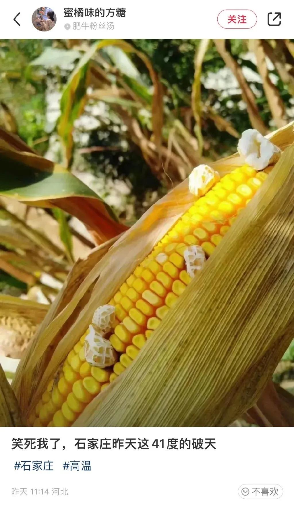 梗图秀秀0701：如何把爱玩手机写进简历？