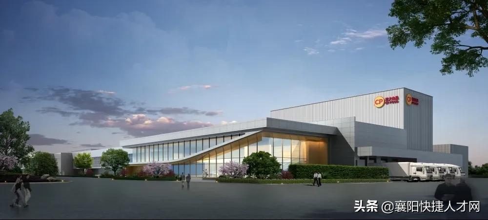 正大食品薪资待遇表,正大五险一金扣多少