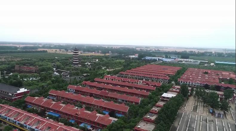 探访滕州市张汪镇：“一村一品”花式致富催生“富民经济”的秘诀