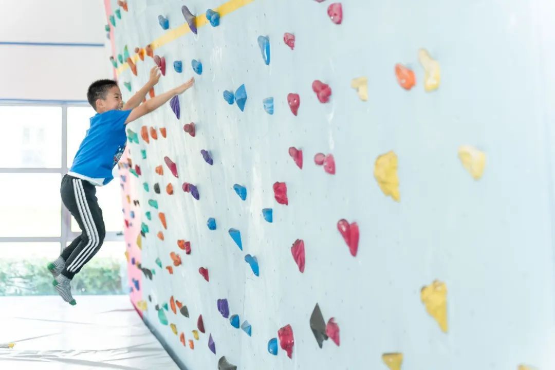 政府开放日活动的积极意义,政府开放日活动意义