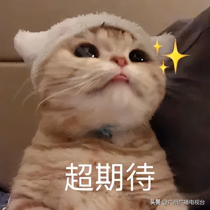 开渔期的广东海鲜市场,广州休渔期还有海鲜卖吗