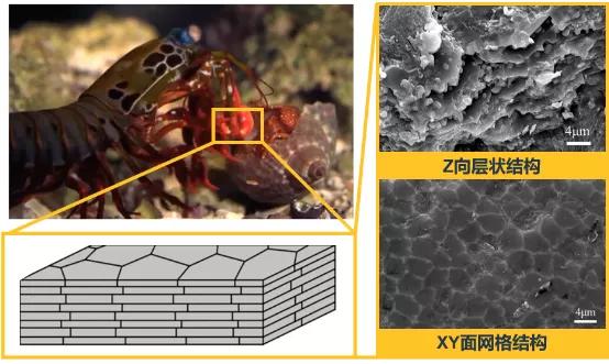 2023挑战杯大学生创业大赛金奖,挑战杯大学生创业大赛作品范例