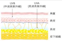 为什么总有一段时间皮肤特别差,为什么皮肤越来越差如何改善
