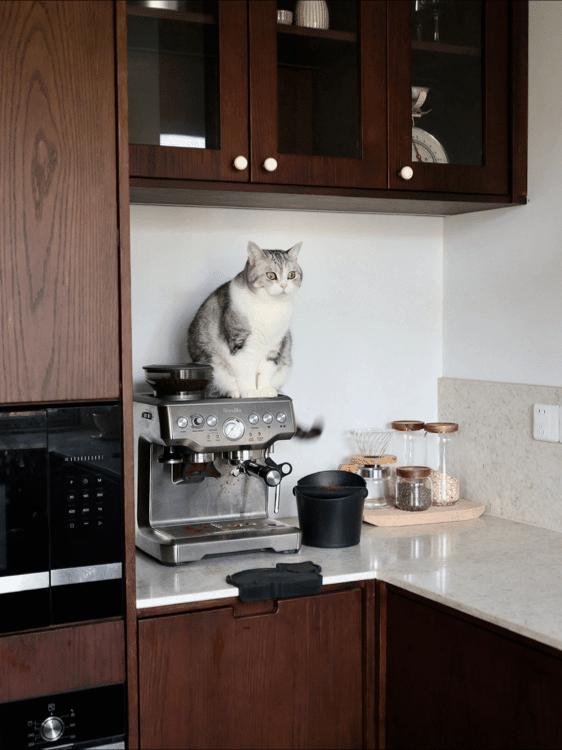 封控48天，*靠我**7㎡储藏室实现物资自由，安全感十足