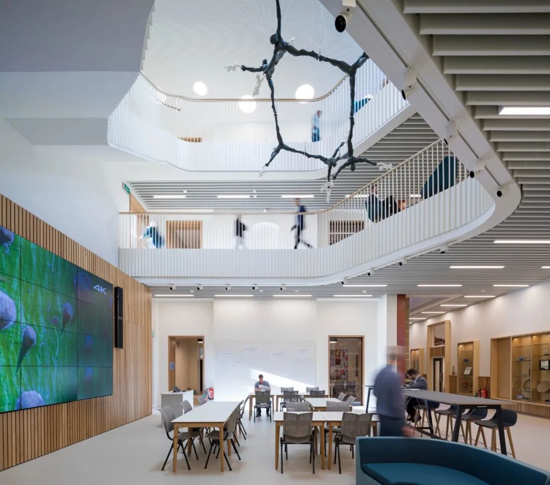 历史遗产的天然教科书｜建在百年历史保护区的学校合集