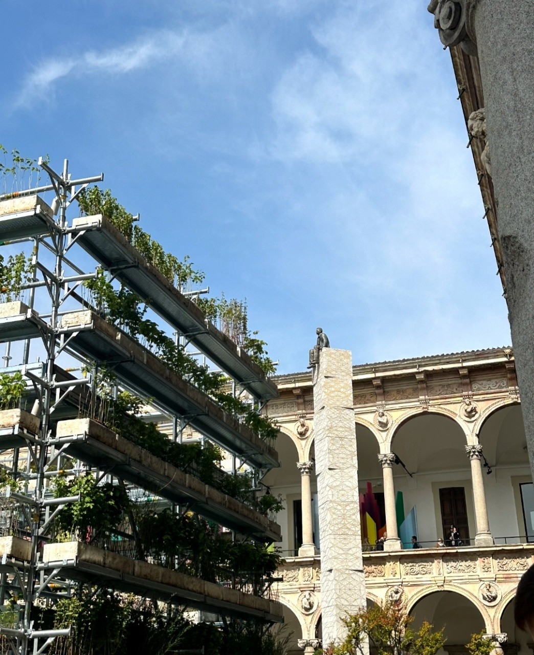 苏捷设计,苏捷设计师