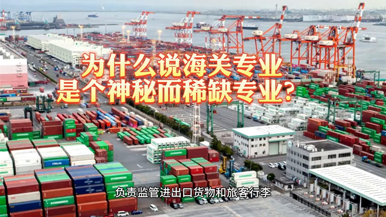 海关类专业有哪些,为什么海关法学找的少呢
