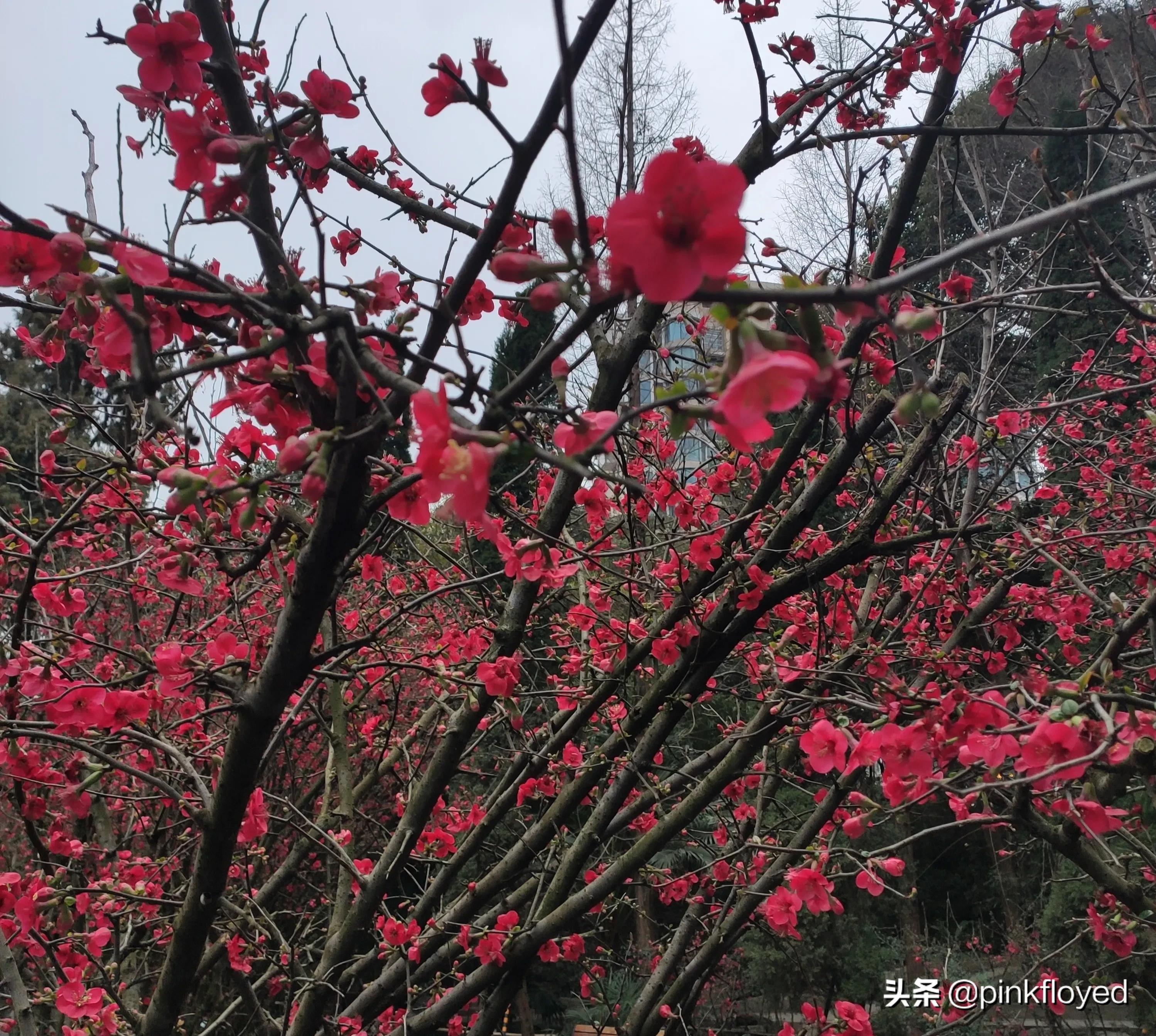 广汉周末安静好去处,广汉幸福生活