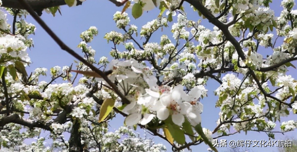 沈阳市铁西区-春游的好地方，一起来这里打卡吧