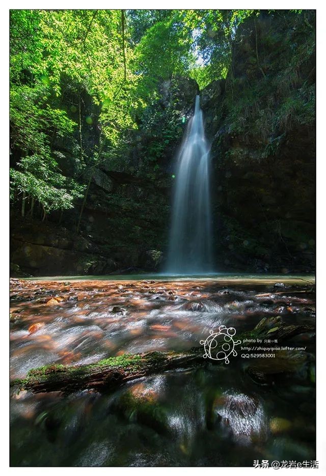 夏天龙岩哪里凉快适合避暑,龙岩新罗区有哪些避暑的好地方
