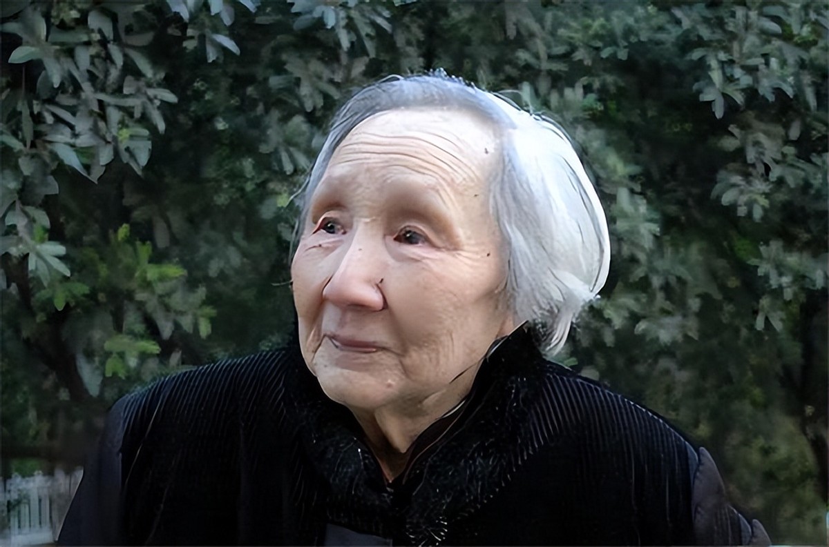 1997年重庆老妇访问朝鲜，祭拜金日成后，提出了一个大胆的建议