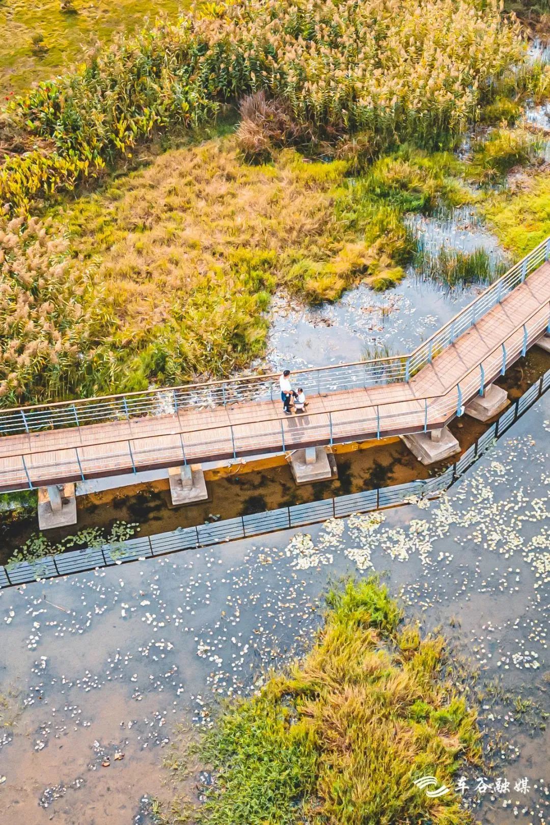 淘金山骑行绿道和东湖骑行绿道,周末绿道骑行一路都是美景