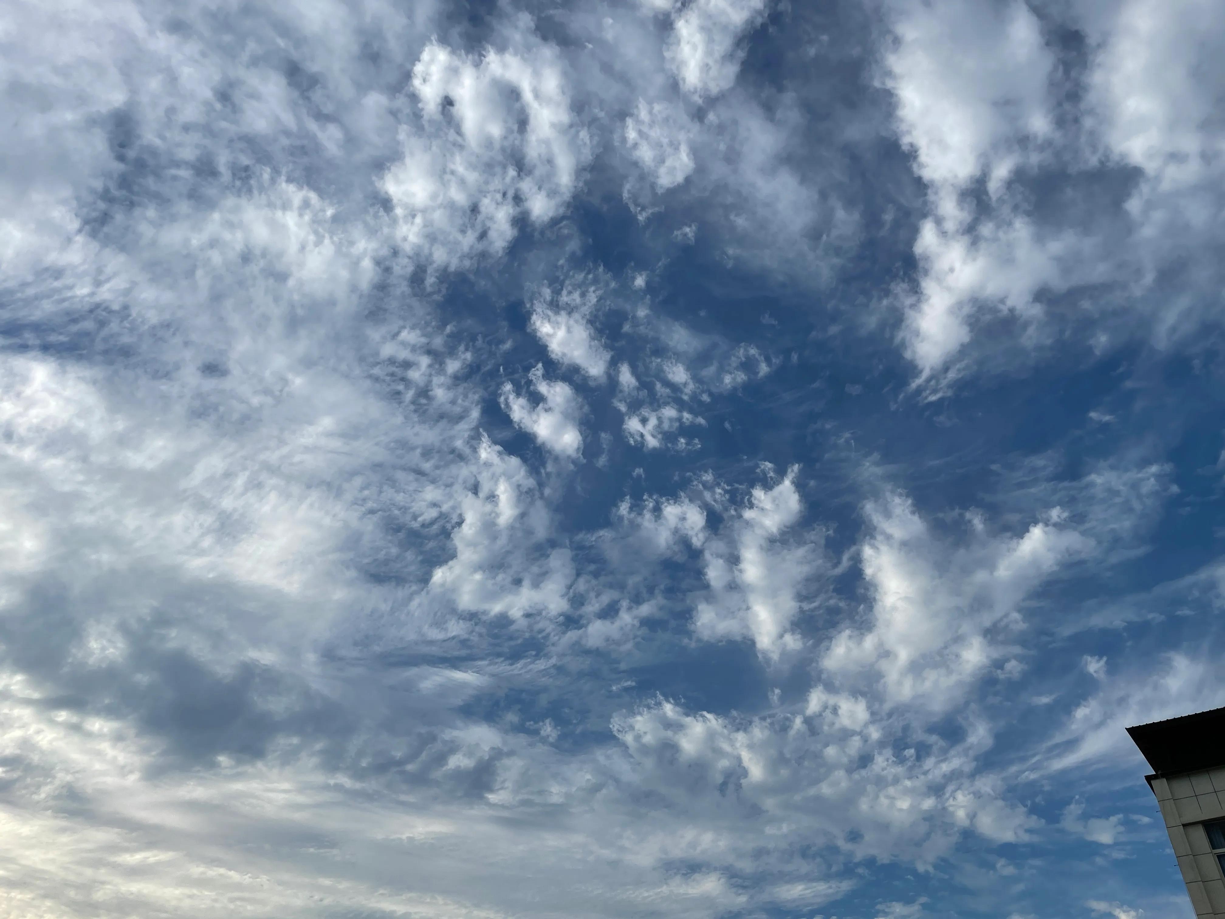 对纪委工作的建议,为什么去纪委工作