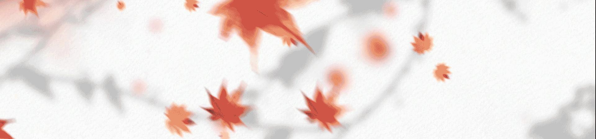 维京人女战士,维京时代的女人