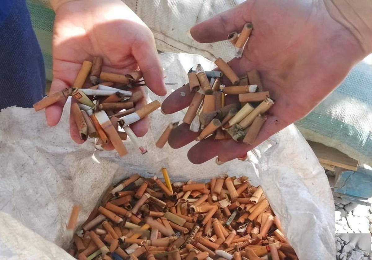 日本收购烟头有什么秘密,日本高价回收我国废弃烟头