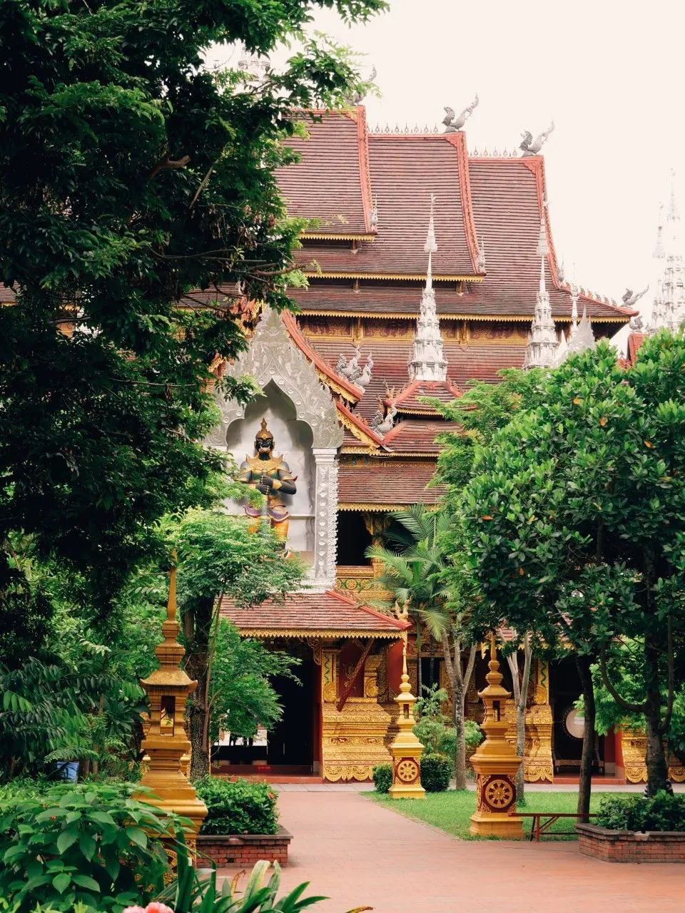 西双版纳体验雨林,吃遍热带水果西双版纳