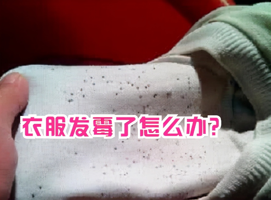 有颜色的衣服发霉了怎么洗掉霉斑,冬天的外套衣服发霉怎么洗掉霉斑