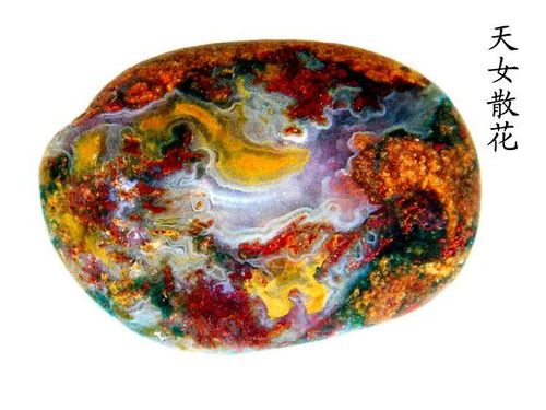 旅游十大冷门知识,旅游十大看头