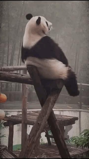 外卖小哥的搞笑事件盘点,外卖员搞笑问题