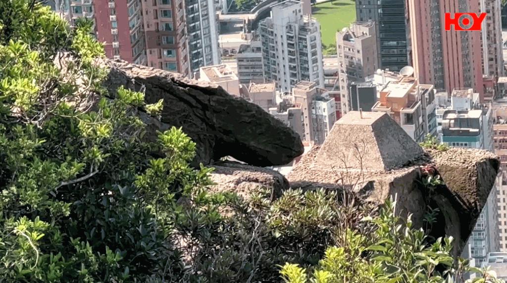 缃戠孩鎵撳崱鎮礀,缃戠孩鎵撳崱妤奸《澶╁彴