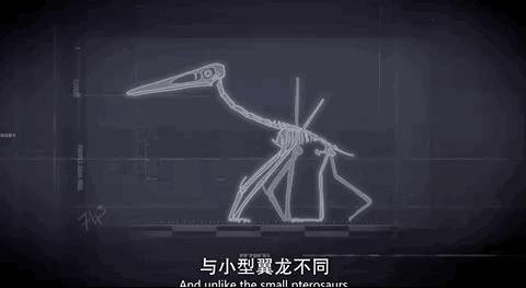 9.3涨到9.5，大神一出手，全网高潮！