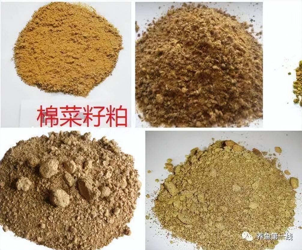 各种养殖鱼饲料需要的脂肪含量,鱼类饲料中需要哪些添加剂成分