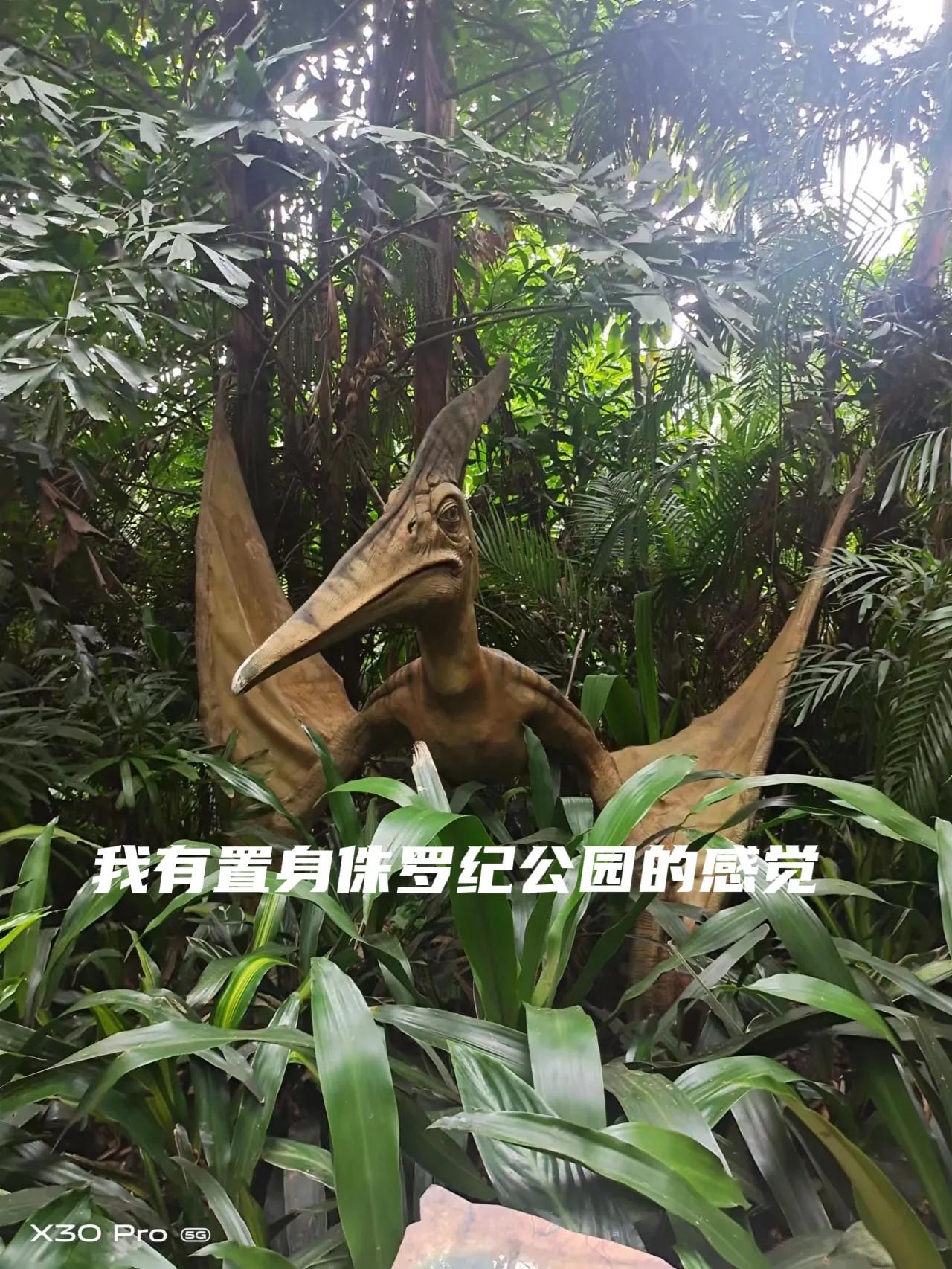 带娃去广州长隆动物园一天门票,带娃游广州长隆野生动物园