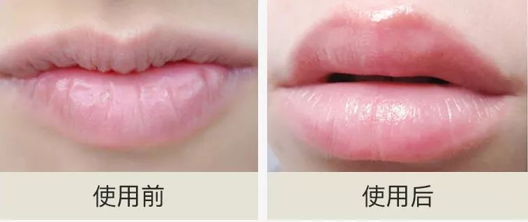 《不可思议的茶油》——谁能想到茶油还能护唇养肤