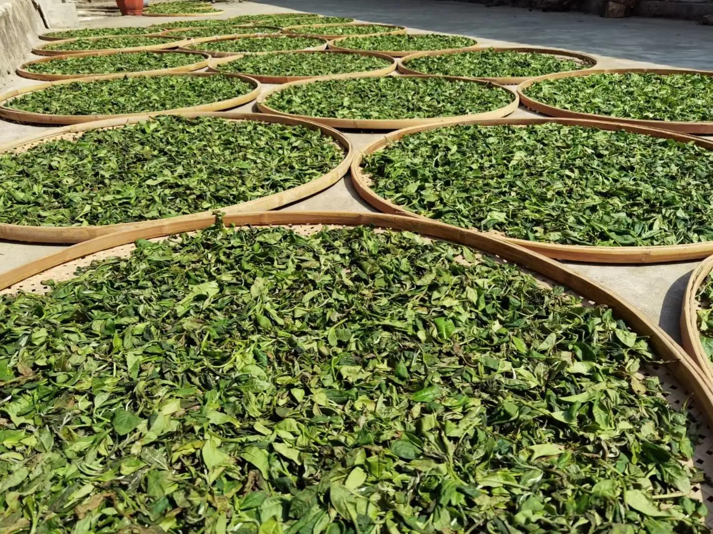 那些年我们买茶踩过的坑,这些年我踩过的坑