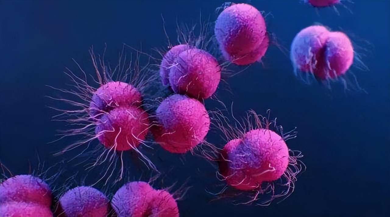 通过性传播的病有哪些不能治愈,哪些病是通过性传播的