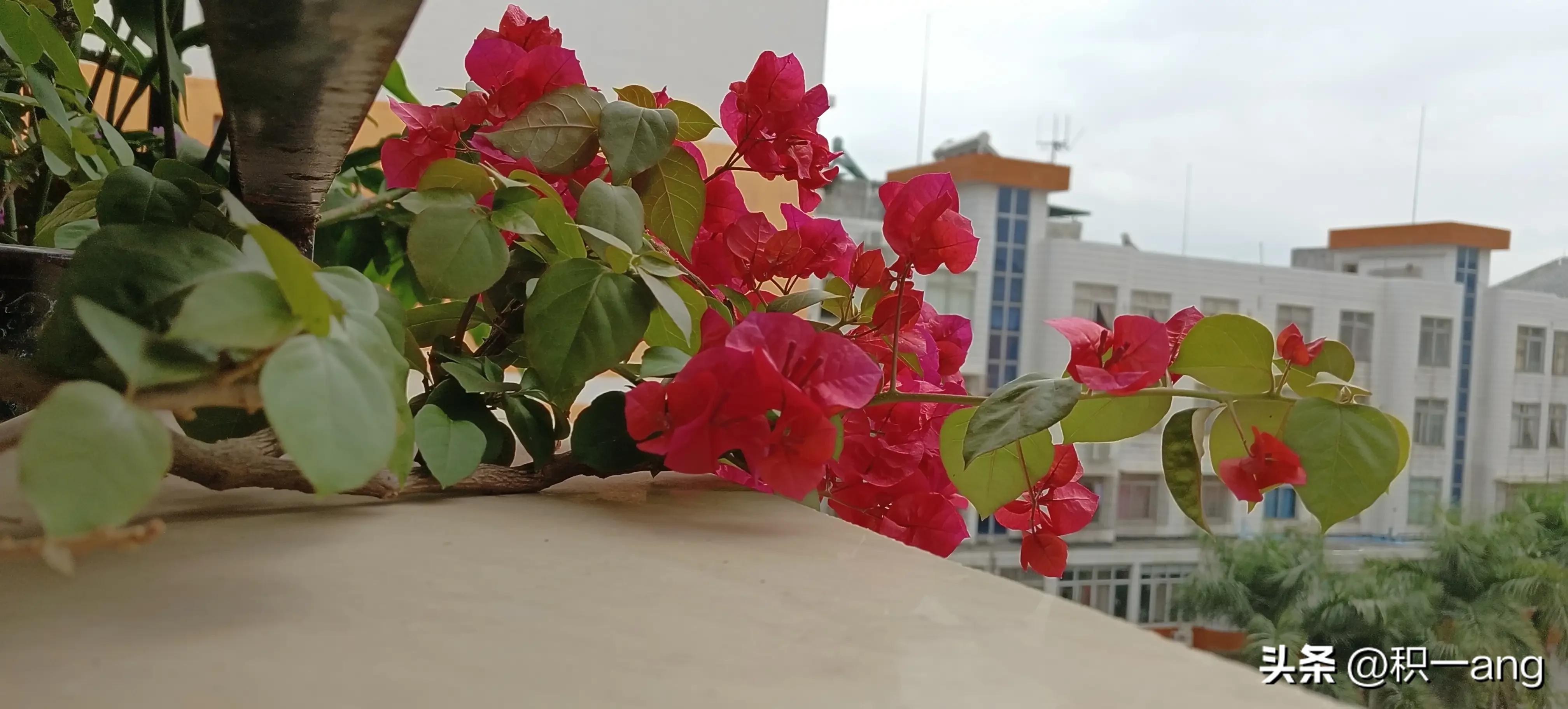 凌晨肠鸣大便不成形,凌晨2点上厕所大便