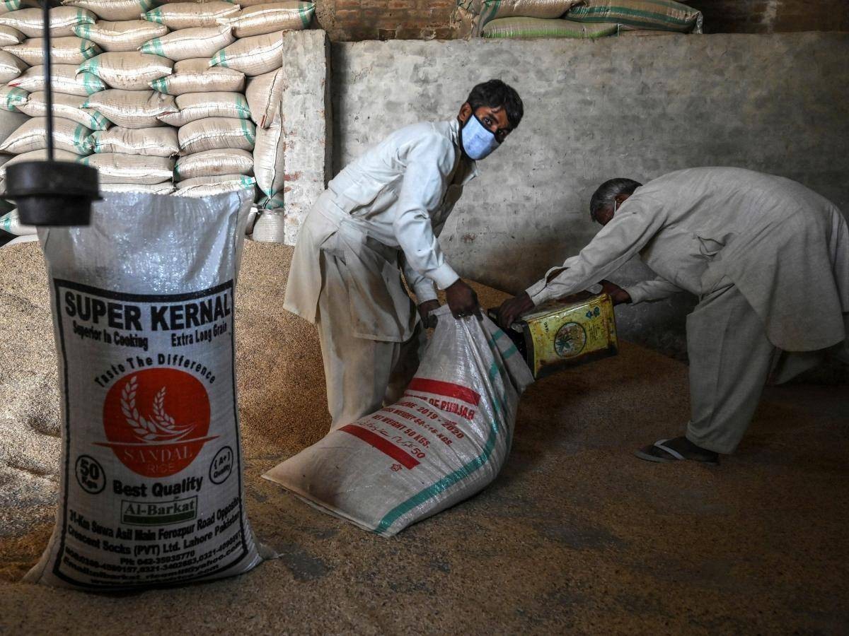 俄罗斯为啥都是平原气候,俄罗斯气候变化现状