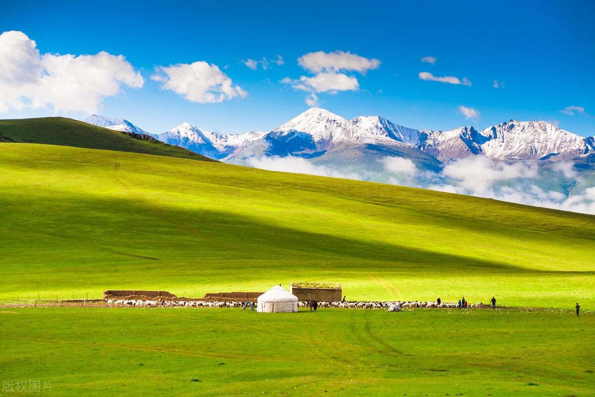 有机农场要建设到什么环境,有机牧场怎么运作的