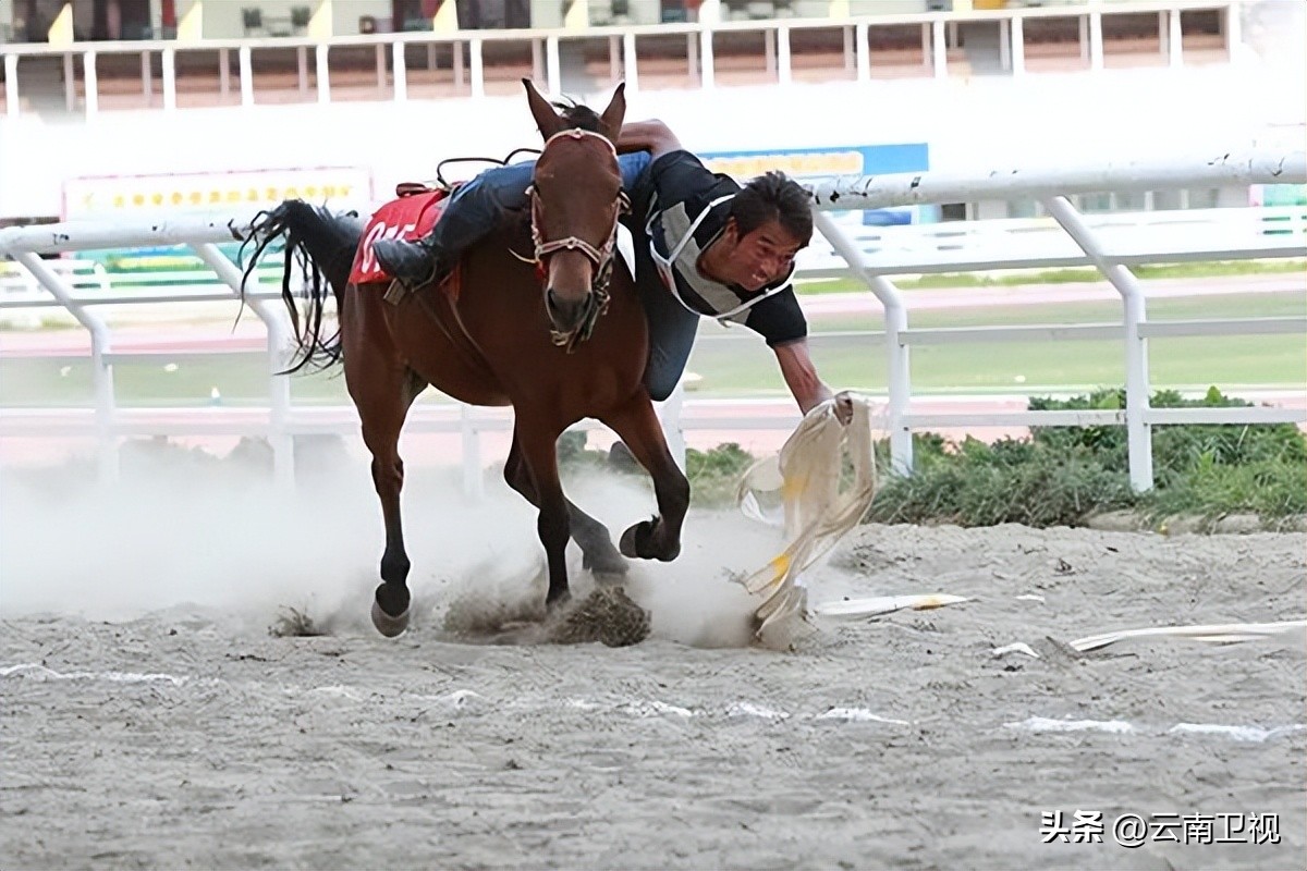马术项目列入传统民族体育项目,第十二届全国少数民族运动会马术