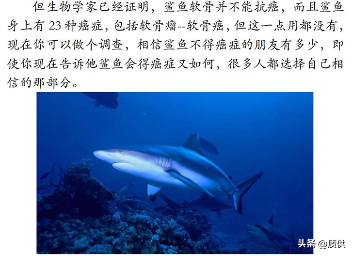 人类为什么只吃鲨鱼,为什么人类只吃鱼翅
